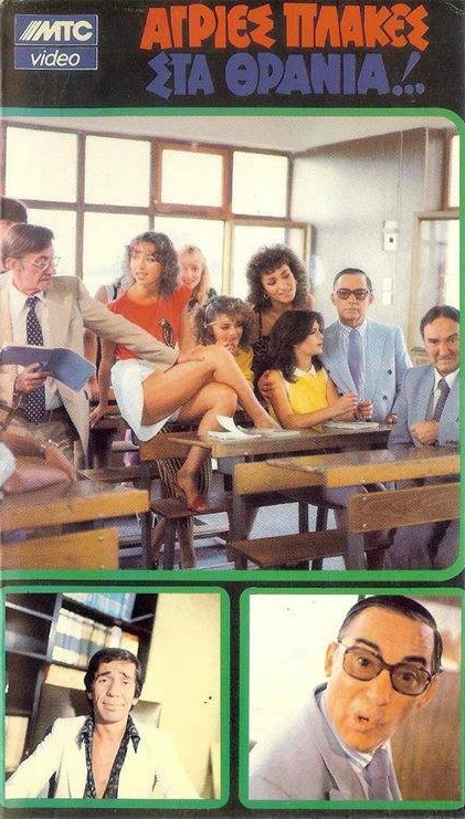 Front cover of Film Άγριες πλάκες στα θρανία VHS tape